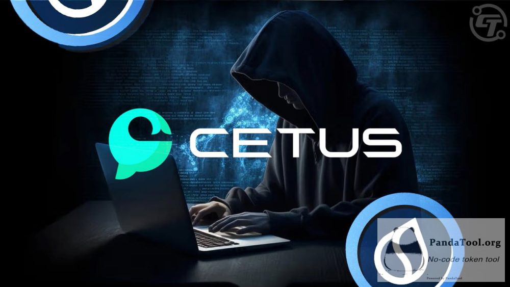 Cetus被黑客攻击